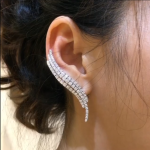 Women's Fashion Earrings